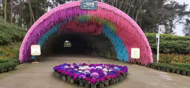 达州市花纤谷农业开发有限公司(图3)