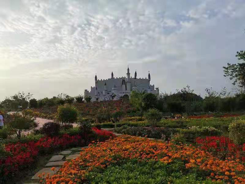 达州市花纤谷农业开发有限公司(图8)