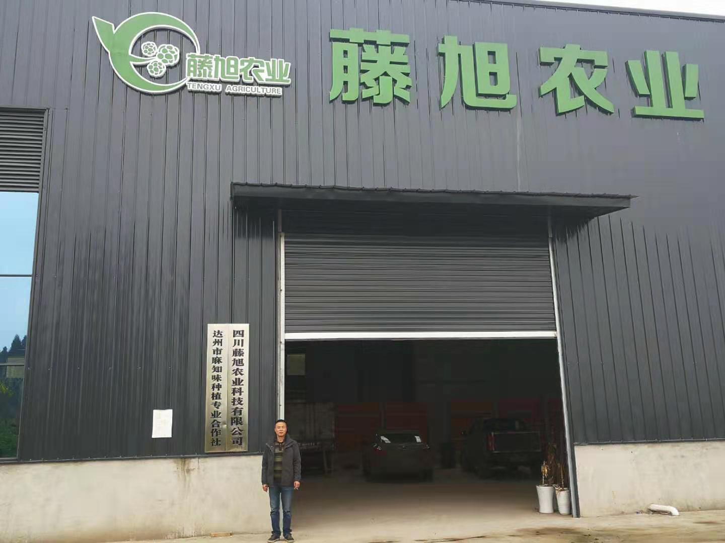 市级龙头企业——四川藤旭农业科技有限公司(图1)