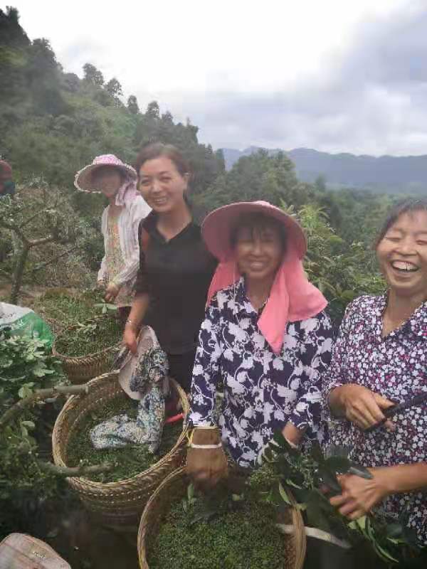 市级龙头企业——四川省冠杰农业科技有限公司(图5)