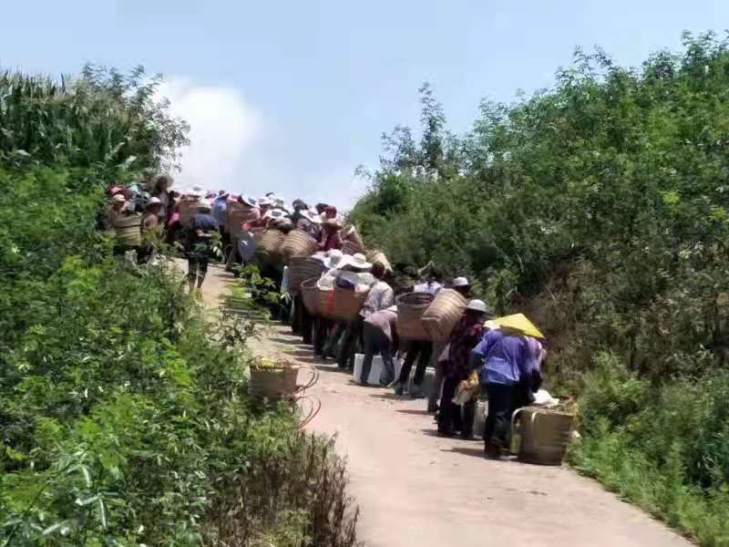 市级龙头企业——四川省冠杰农业科技有限公司(图4)