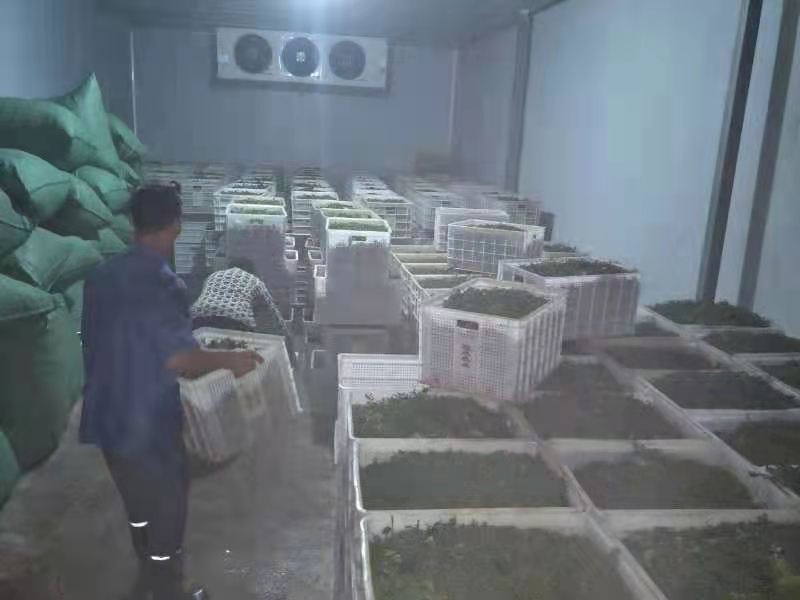 市级龙头企业——四川省冠杰农业科技有限公司(图7)