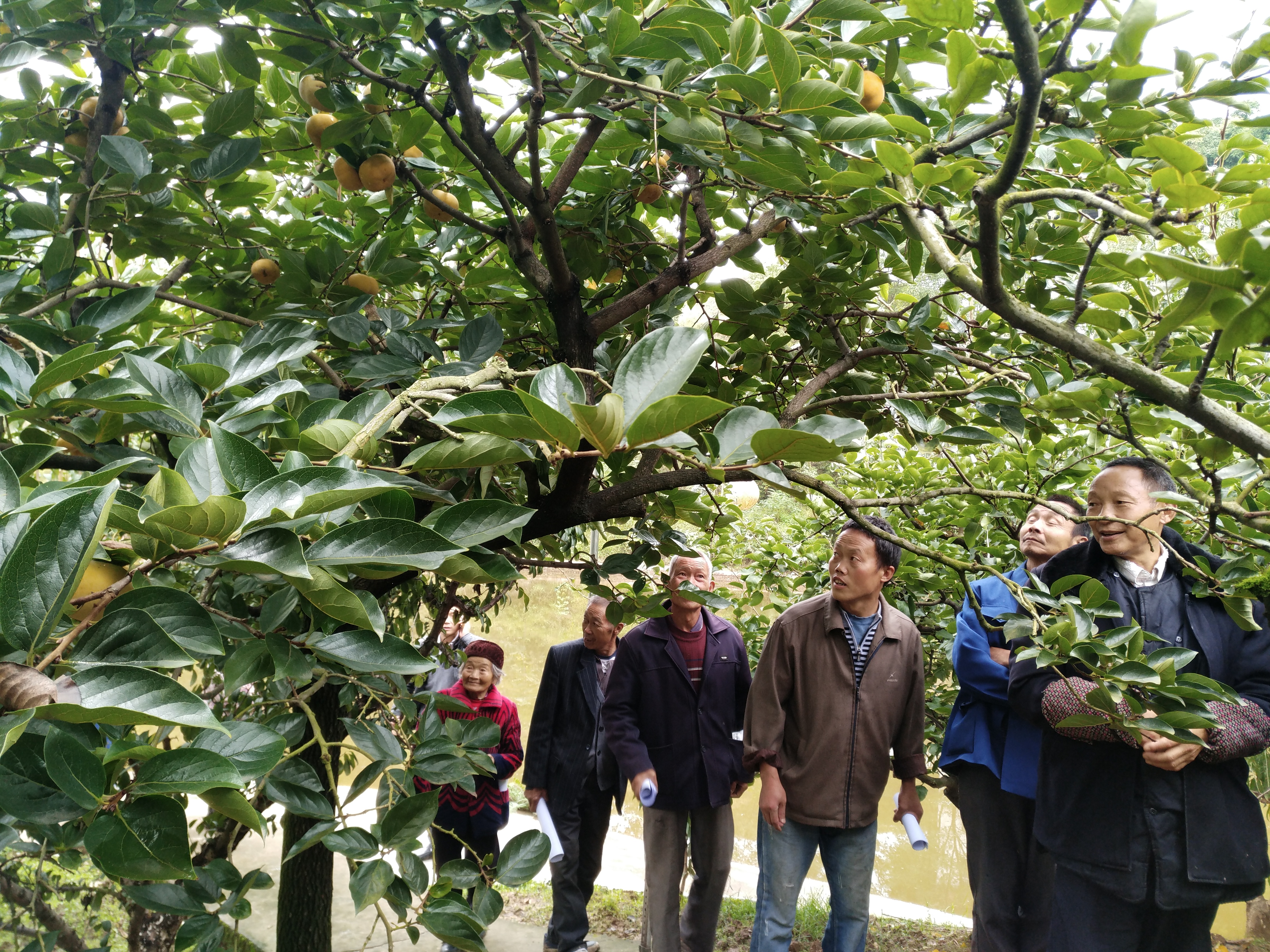达州市达川区芬芳家庭农场(图2)