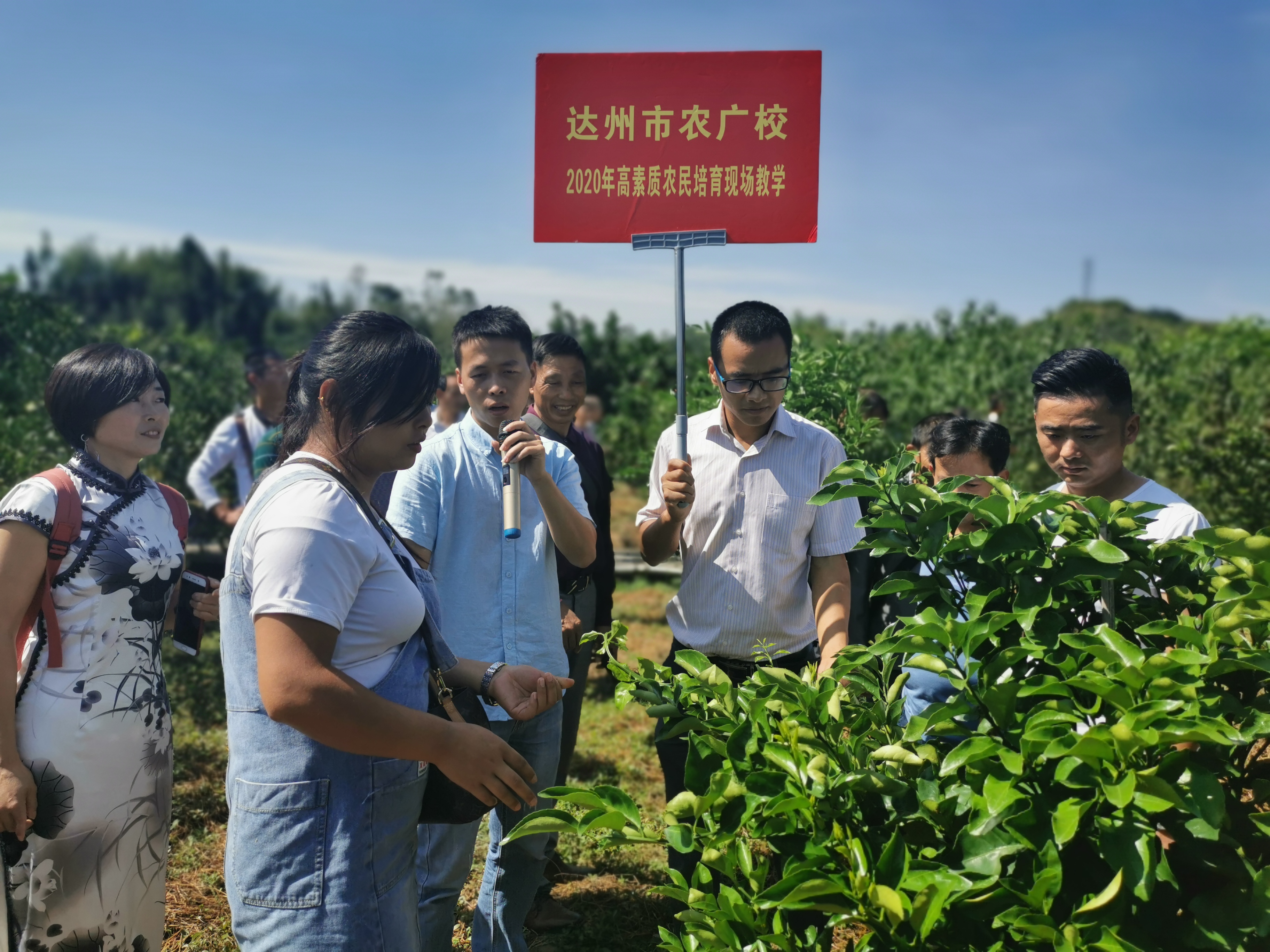 达州市达川区芬芳家庭农场(图8)