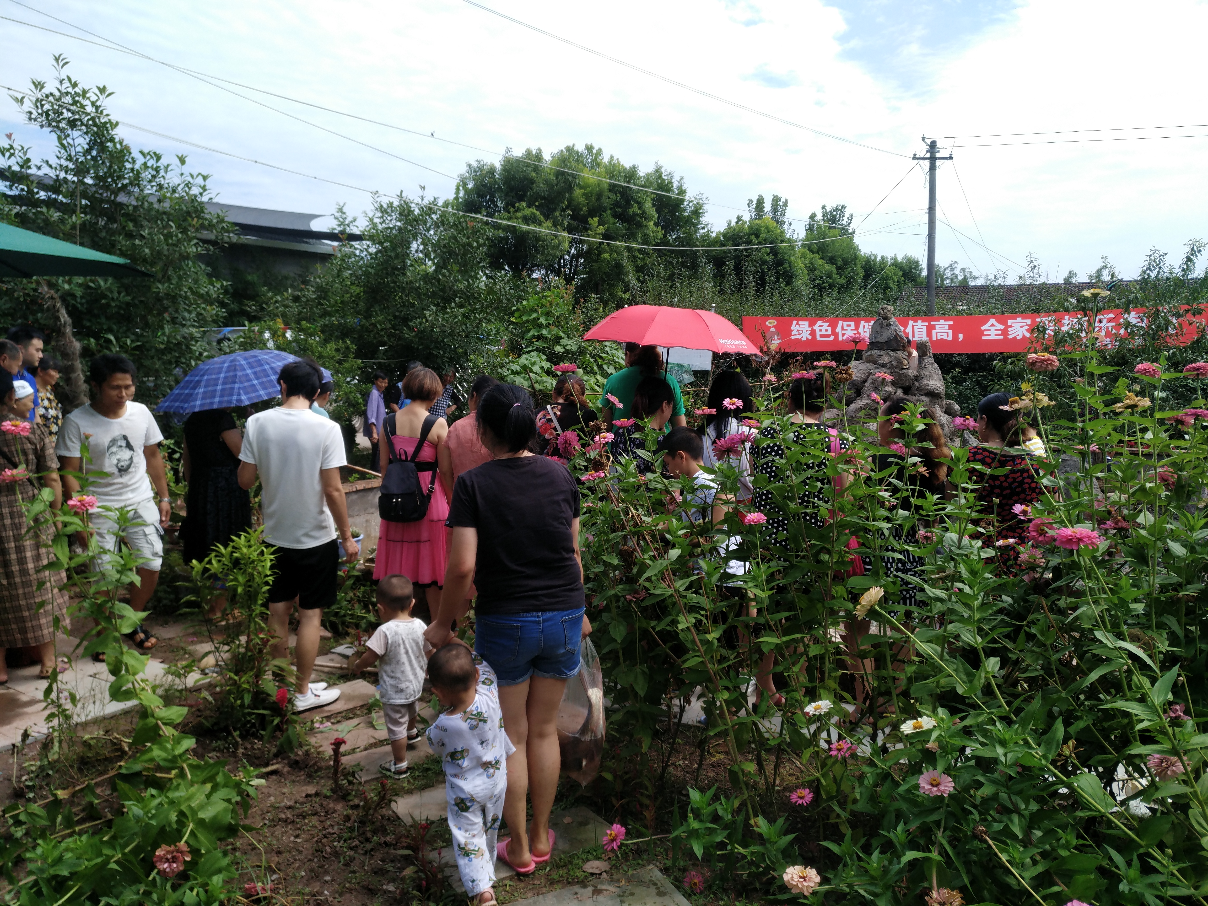 达州市达川区芬芳家庭农场(图7)