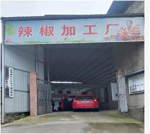 龙头企业——达州市启云农业科技有限公司(图1)