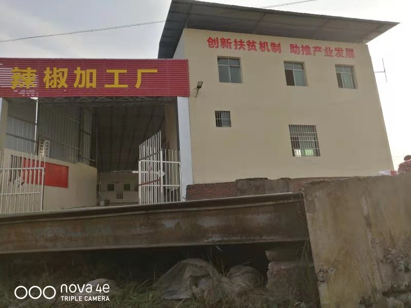 龙头企业——达州市启云农业科技有限公司(图2)