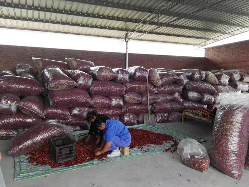 龙头企业——达州市启云农业科技有限公司(图4)