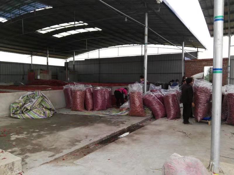 龙头企业——达州市启云农业科技有限公司(图5)