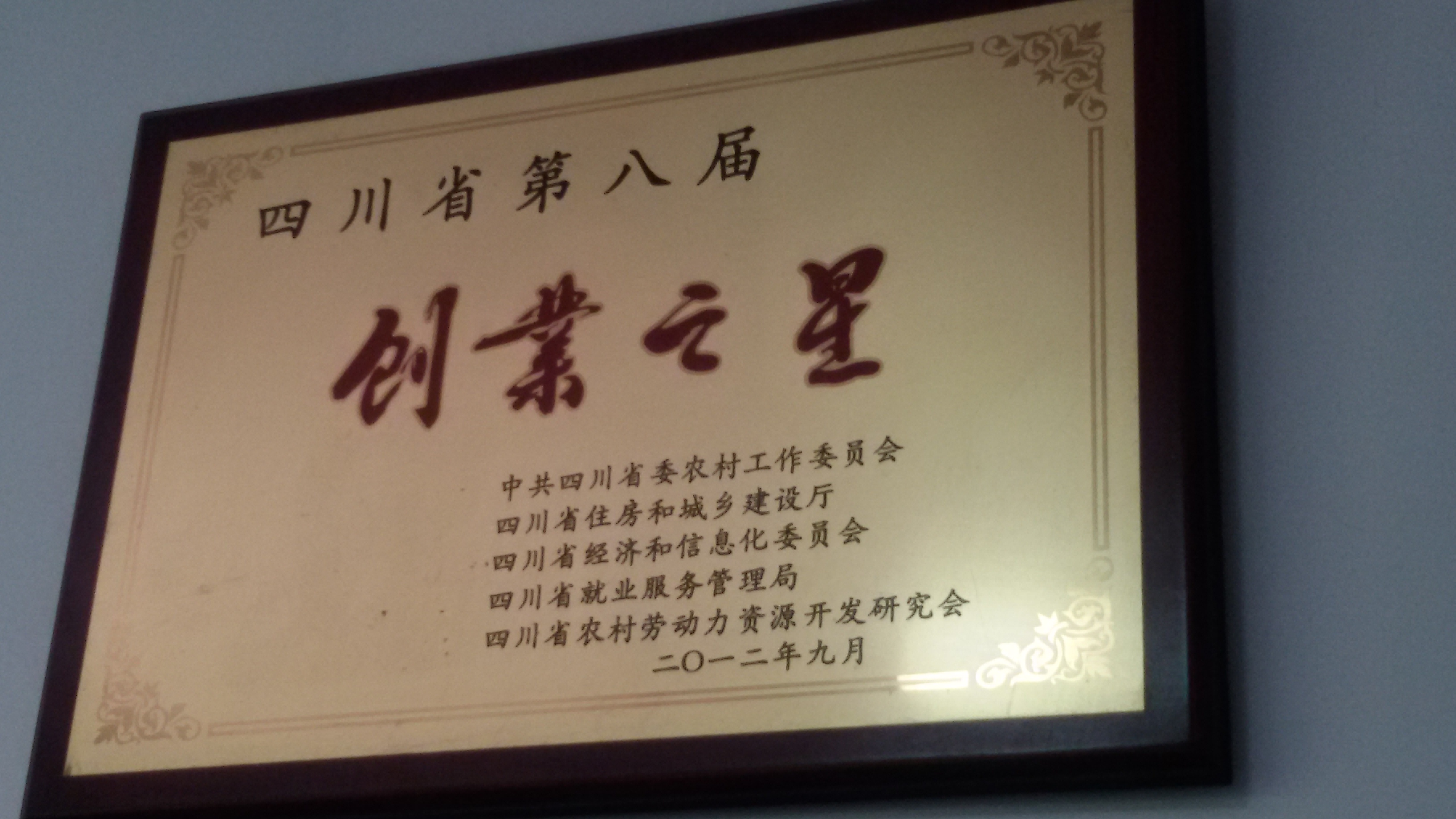 创业之星——魏大旭(图2)