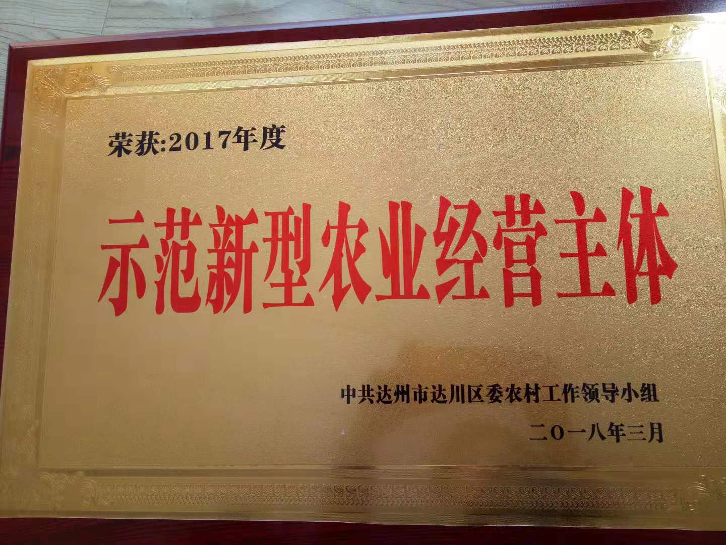 创业之星——魏大旭(图6)