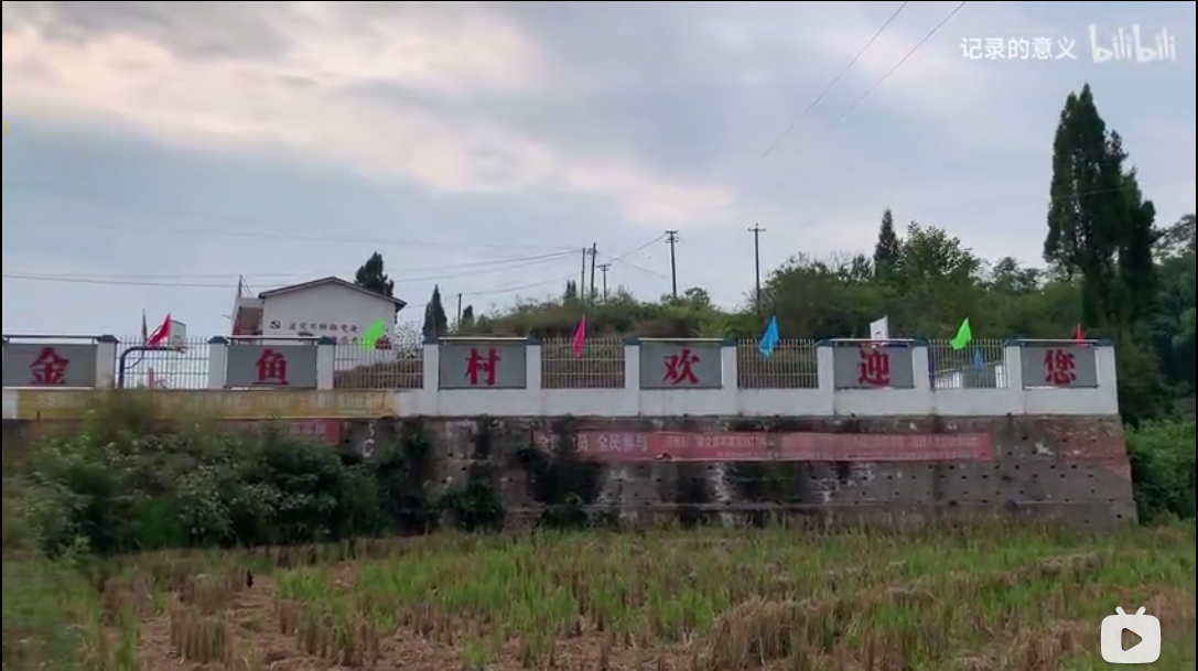 金垭镇——金鱼村“丁香谷”(图1)