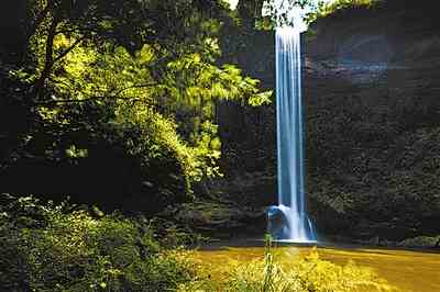 金垭镇——金鱼村“丁香谷”(图2)