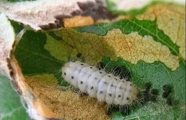 2-211119104059608.jpg 2-211119104059608.jpg