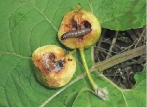 2-211119104133115.jpg 2-211119104133115.jpg