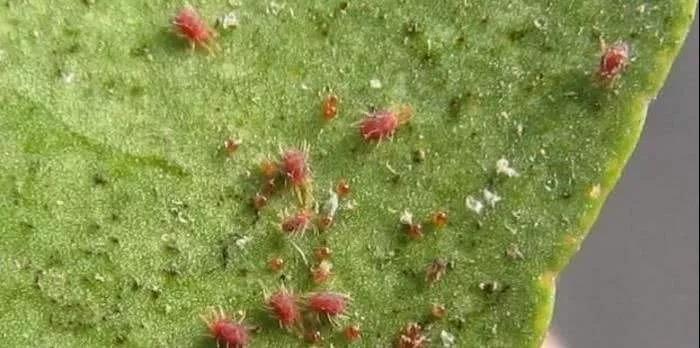 2-211119104232X4.jpg 2-211119104232X4.jpg